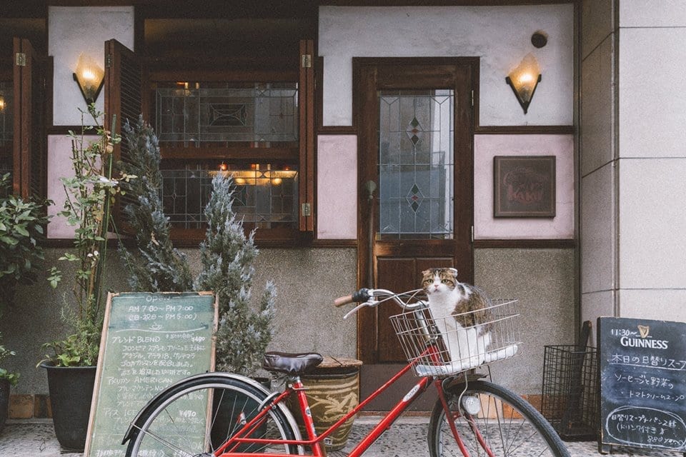 歷史烘培咖啡屋 名古屋市 Coffee House KAKO