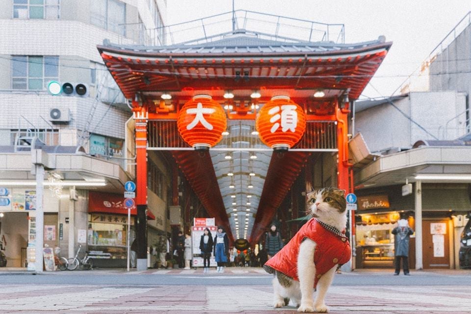 【懶人包行程】 名古屋市內一日遊