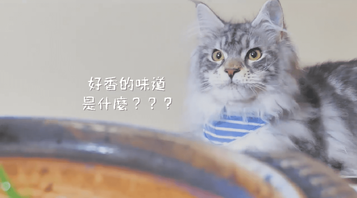 【名古屋喵喵團】尋找美味 味噌烏龍麵