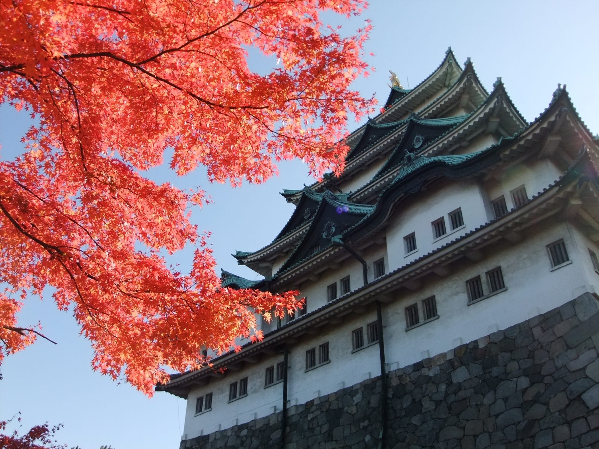 名古屋市 賞楓三大好去處　白鳥庭園／德川園／名城公園
