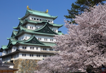 名古屋賞櫻地圖｜名古屋城、鶴舞公園、岡崎城等賞櫻勝地看這裡！