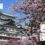 【名古屋 春日漫行】春季必遊山岳勝地「立山黑部」｜日本第一桃花鄉「花桃之里」｜日本最文化多元的「大須商店街」