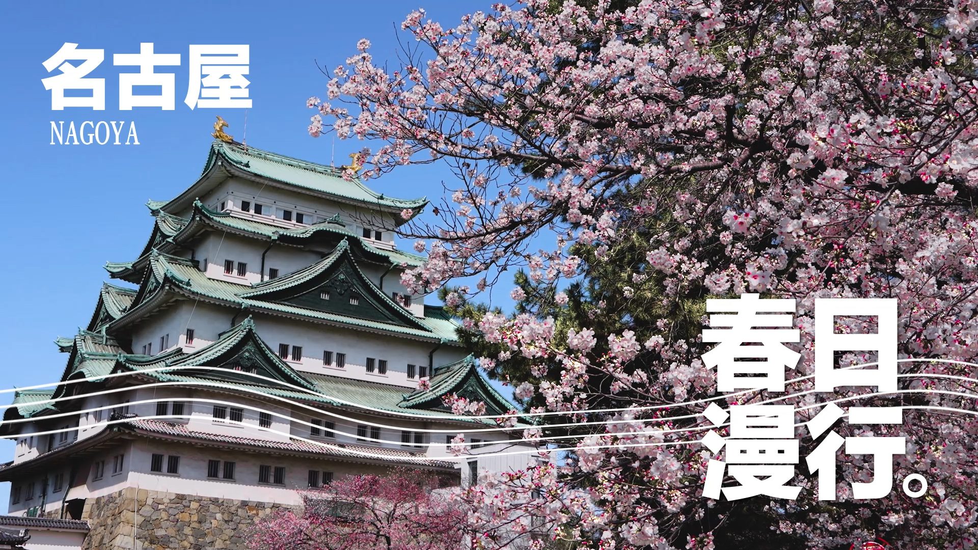 【名古屋 春日漫行】春季必遊山岳勝地「立山黑部」｜日本第一桃花鄉「花桃之里」｜日本最文化多元的「大須商店街」